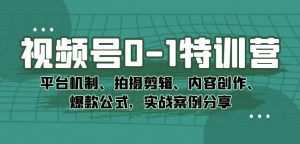 视频号0-1特训营:平台机制、拍摄剪辑、内容创作、爆款公式,实战案例分享-最全项目网