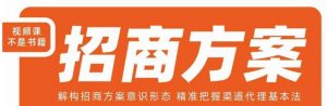 王昕招商方案,解构招商方案意识形态,精准把握渠道代理基本法-最全项目网