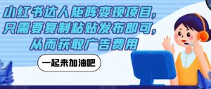 小红书达人矩阵变现项目,只需要复制粘贴发布即可,从而获取广告费用-最全项目网