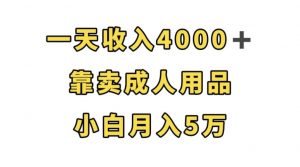 一天收入4000+,靠卖成人用品,小白轻松月入5万【揭秘】-最全项目网