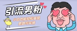 引流男粉+小白也能暴力变现的思路与实操【揭秘】-最全项目网