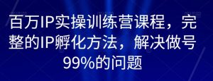 百万IP实操训练营课程,完整的IP孵化方法,解决做号99%的问题-最全项目网