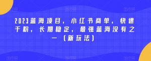 2023蓝海项目，小红书商单，快速千粉，长期稳定，最强蓝海没有之一（新玩法）-最全项目网
