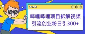 哔哩哔哩项目拆解引流创业粉日引300+小白可轻松上手【揭秘】-最全项目网