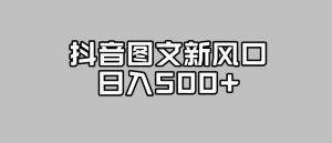 抖音图文最新风口,流量扶持非常高,日入500+【揭秘】-最全项目网