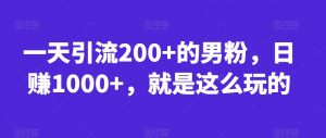 一天引流200+的男粉,日赚1000+,就是这么玩的【揭秘】-最全项目网