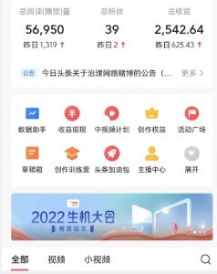 全新蓝海,西瓜视频流量掘金项目,简单上手适合0基础小白,暴力玩法日入500+【揭秘】-最全项目网