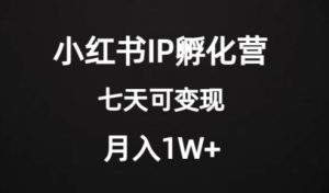 价值2000+的小红书IP孵化营项目,超级大蓝海,七天即可开始变现,稳定月入1W+-最全项目网