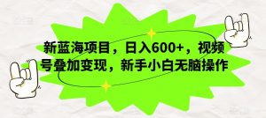 新蓝海项目,日入600+,视频号叠加变现,新手小白无脑操作【揭秘】-最全项目网
