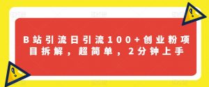 B站引流日引流100+创业粉项目拆解,超简单,2分钟上手【揭秘】-最全项目网