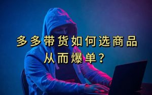 多多视频带货选什么商品链接才能爆单，10分钟教会你，爆单不是浮云【揭秘】-最全项目网