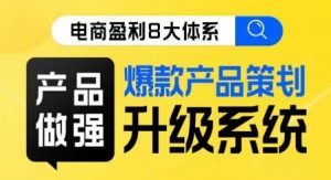 电商盈利8大体系 ·产品做强爆款产品策划系统升级线上课,全盘布局更能实现利润突破-最全项目网