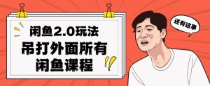 闲鱼2.0玩法单号每天日入2000，吊打市面所有课程-最全项目网