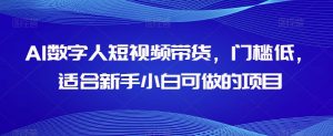 AI数字人短视频带货,门槛低,适合新手小白可做的项目-最全项目网