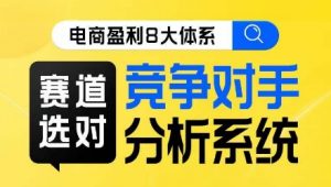 电商盈利8大体系·赛道选对,竞争对手分析系统线上课-最全项目网