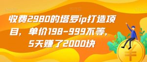 收费2980的塔罗ip打造项目，单价198-999不等，5天赚了2000块【揭秘】-最全项目网