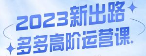 大炮·多多高阶运营课,3大玩法助力打造爆款,实操玩法直接亮出干货-最全项目网