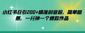 小红书日引200+精准创业粉,简单粗暴,一分钟一个爆款作品【揭秘】-最全项目网