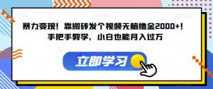 暴力变现!靠搬砖发个视频无脑撸金2000+!手把手教学,小白也能月入过万【揭秘】-最全项目网