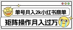 外面收费1980的小红书商单保姆级教程,单号月入2k,矩阵操作轻松月入过万-最全项目网