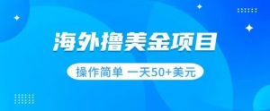 撸美金项目无门槛操作简单小白一天50+美刀-最全项目网