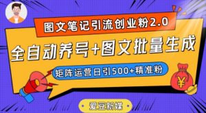 爱豆新媒:全自动养号+图文批量生成,日引500+创业粉(抖音小红书图文笔记2.0)-最全项目网