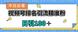 视频号引流精准粉,日引100+,流量爆炸【揭秘】-最全项目网