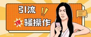 最新引流骚操作，单账号日引50-100，简单粗暴，适合于小白各行各业都可以进行操作，精准粉丝加到爆-最全项目网