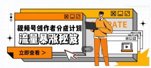 一条视频收益3000+，一条作品涨粉2000+，视频号流量爆炸·的秘籍-最全项目网