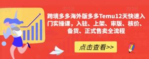 跨境多多海外版多多Temu12天快速入门实操课,入驻、上架、审版、核价、备货、正式售卖全流程-最全项目网