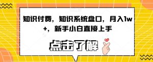 知识付费,知识系统盘口,月入1w+,新手小白直接上手-最全项目网