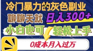 冷门暴利的副业项目,聊聊天就能日入300+,0成本月入过万【揭秘】-最全项目网