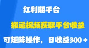 搬运视频获取平台收益，平台红利期，附保姆级教程【揭秘】-最全项目网