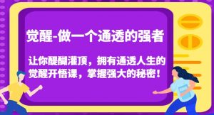 觉醒-做一个通透的强者,让你醍醐灌顶,拥有通透人生的觉醒开悟课,掌握强大的秘密!-最全项目网