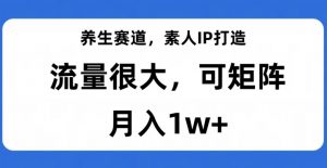 养生赛道,素人IP打造,流量很大,可矩阵,月入1w+【揭秘】-最全项目网
