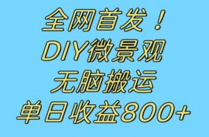 全网首发冷门赛道！DIY微景观，无脑搬运视频，日收益800+【揭秘】-最全项目网