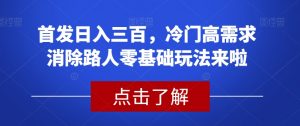 首发日入三百，冷门高需求消除路人零基础玩法来啦【揭秘】-最全项目网