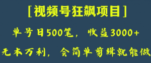 日收款500笔，纯利润3000+，视频号狂飙项目，会简单剪辑就能做【揭秘】-最全项目网
