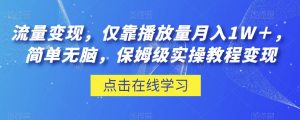 流量变现,仅靠播放量月入1W+,简单无脑,保姆级实操教程【揭秘】-最全项目网