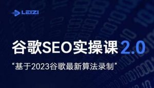 雷子·谷歌SEO 2.0实战课,独立站询盘自由必备,基于2023谷歌最新算法录制-最全项目网