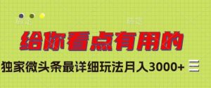 独家微头条最详细玩法,月入3000+【揭秘】-最全项目网