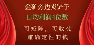 金矿旁边卖铲子，赚确定性的钱，可矩阵，可收徒，日均利润4位数【揭秘】-最全项目网