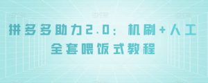 拼多多助力2.0：机刷+人工全套喂饭式教程【揭秘】-最全项目网