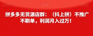 拼多多无货源店群:(抖上拼)不推广不刷单,利润月入过万!【揭秘】-最全项目网