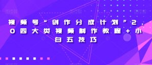 视频号“创作分成计划”2.0四大类视频制作教程+小白五技巧【揭秘】-最全项目网