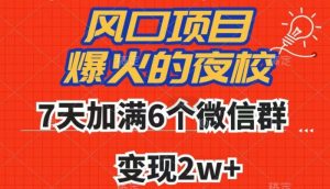 全网首发，爆火的夜校，7天加满6个微信群，变现2w+【揭秘】-最全项目网