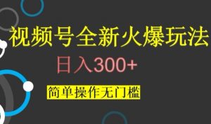 视频号最新爆火玩法,日入300+,简单操作无门槛【揭秘】-最全项目网