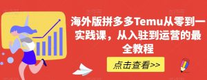 海外版拼多多Temu从零到一实践课,从入驻到运营的最全教程-最全项目网