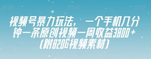 视频号暴力玩法，一个手机几分钟一条原创视频一周收益3800+（附820G视频素材）-最全项目网