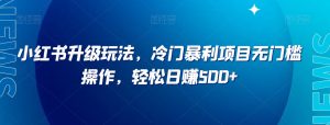 小红书升级玩法,冷门暴利项目无门槛操作,轻松日赚500+【揭秘】-最全项目网